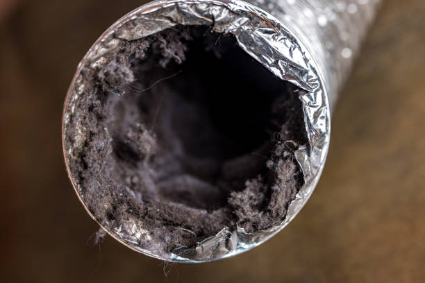 Best Ductwork Cleaning Services  in Longview Heights, WA